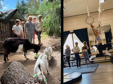 Left, admiring goats. Right, jungle course and gymnastic rings.